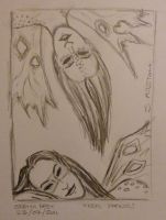 Feral Faeries
